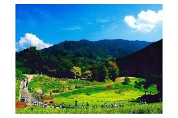 3.魅力ある村づくり事業