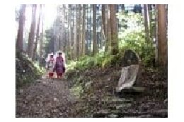 世界遺産「紀伊山地の霊場と参詣道」の保全や活用