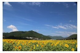 ◇交流人口の拡大