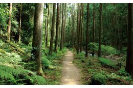 ◇歴史文化・芸術の振興