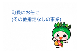 (1)町長にお任せ（その他指定なしの事業）