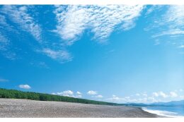 煙樹ヶ浜・松林の保全に関する事業