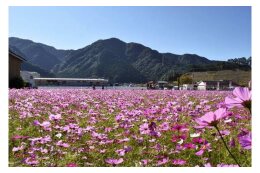 自然環境・生活環境の保全に関する事業