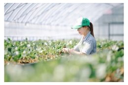 活気ある産業で雇用が生まれるまちづくり