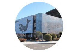 ●太地町立くじらの博物館に関する事業