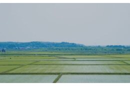 ⑥魅力あるまちづくりに活用