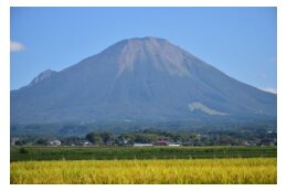 がいなよなご応援団（使途を指定しない方はこちらをお選びください）