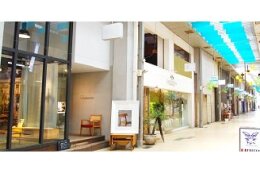 がいなよなご応援団商店街の賑わい復活事業