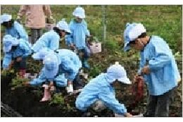 子育て支援・教育の充実