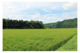 自然環境の保全のための事業 