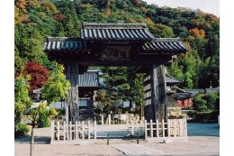 1 歴史的・文化的資源の保全及び活用に関する事業
