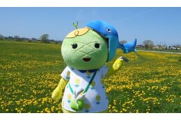 むかわ町長におまかせ