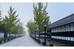 文化の振興に関する事業
