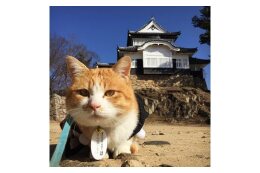 １．地域産業・観光の振興