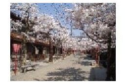 ４ 新庄宿の景観及びがいせん桜に関する事業