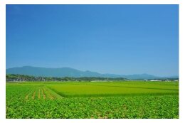 4．産業振興に関する事業