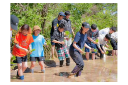 「大林学区地域運営委員会」活動支援
