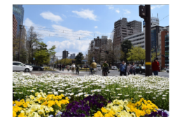 公共花壇の維持管理