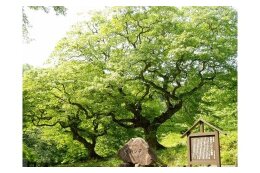 2.脱炭素社会を目指したまちづくり