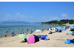 町長におまかせ