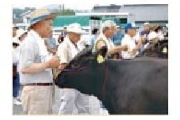 産業の振興に関する事業 