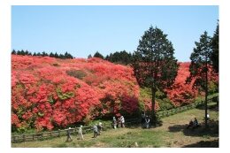 メニュー3　「やすらぎと、美しさのある吉野川市」づくりのために