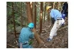 （２）森林農地適正管理基金