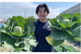 4．地域の活性化