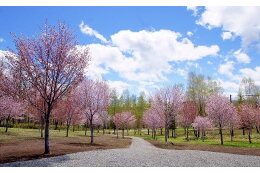 豊かな自然環境や美しい景観の維持保全のために