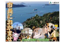 指定なし（市長におまかせ）