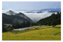 1. 山や川、田畑など農村の豊かな自然環境や文化を守るふるさとに
