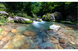 1．美しい風景づくりや環境の整備