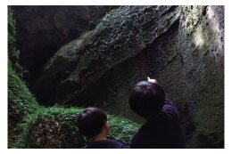 分野1．ふるさとの自然を守る取り組み