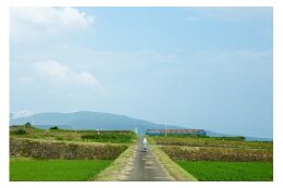 4．その他町長が必要と認める事業 