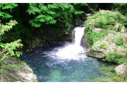 自治体におまかせ