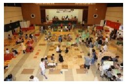 （1）町長がまちづくりのために必要と認める事業